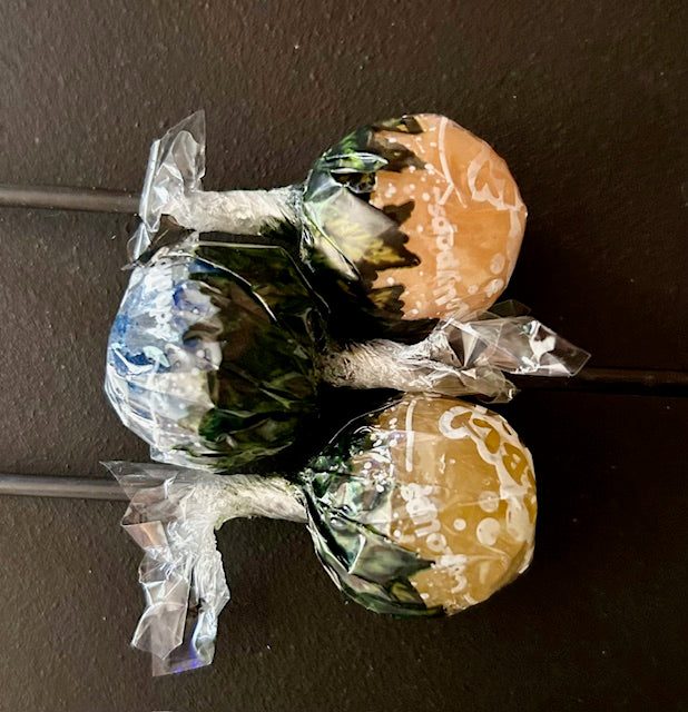 CBD Lollipops 10mg 6 pack for Price of 5